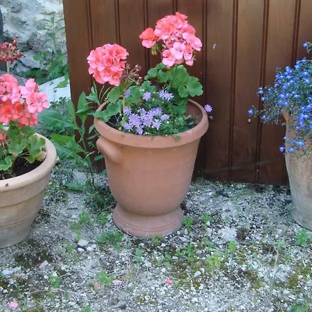 펜션 Les Trois Puits Chambon (Vendee)